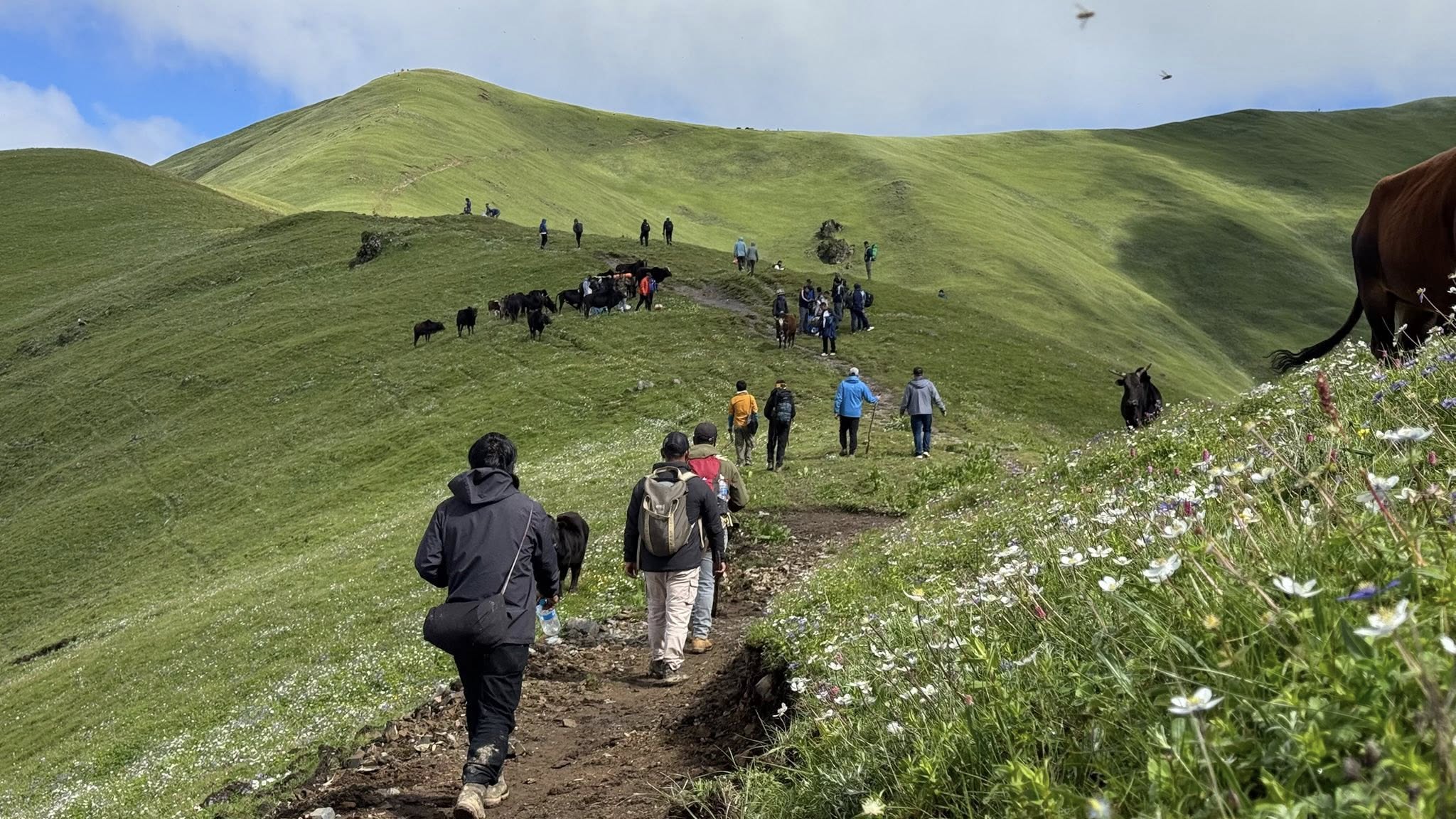 chauri kharka (7).jpg